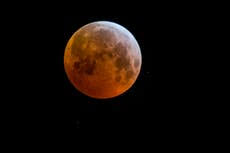 Blank moon phase calendar may 2021. 8cfcidfons2wam