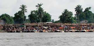 Image result for Nesaea rautanenii