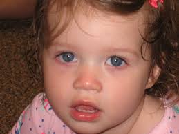 Reader of the Week at the Hampton Public Library this week is the Drama  Club members. They will be performing two puppet plays