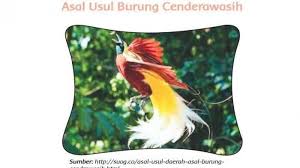 Check spelling or type a new query. Kunci Jawaban Tema 8 Kelas 4 Sd Halaman 114 Apa Isi Dari Cerita Fiksi Asal Usul Burung Cenderawasih Tribun Banten