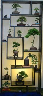 So Cool Shohin Mame Making A Big Impact On Multi Level Bonsai Display Stand Complimented W Suiseki Plant Stand Indoor Bonsai Tree Plants