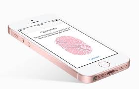 Iphone se plus price and release date. Iphone Se 2 Plus With Full Screen Design Expected To Arrive In 2021 Laptrinhx
