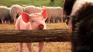 Babe le cochon apprend à être chien de berger | Babe, le cochon devenu  berger | Extrait VF | Pas besoin d'entendre ce genre d'absurdités de la  part d'un loup | By