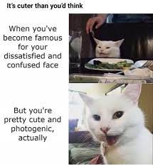 60 Funny Memes Compilation 2019 35 Funnytvofficial Funny Memes Funny Cat Memes Funny Pictures