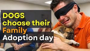 Annie Hershey Sweeter than a Kisses