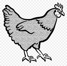 May 22, 2021 · tumis daging lada hitam. Cochin Ayam Leghorn Ayam Hitam Dan Putih Gambar Png