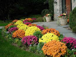 Best fall bedding pottery barn. 20 Fall Flower Garden Ideas Magzhouse