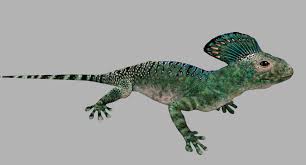 Image result for Hypuronector