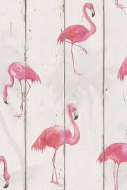 Fabulous Flamingo On Wood Panelling Wallpaper Design Pink Flamingo Wallpaper Flamingo Wallpaper Pink Wallpaper
