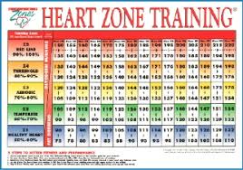 cardio zone heart rate chart cardio training heart rate chart