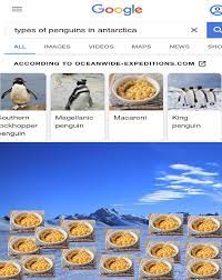 More memes, funny videos and pics on 9gag. Macaroni Memes