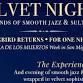 ✨ Velvet Nights | Día de Muertos Kickoff Event — event image