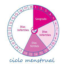 Especialistas En Fertilidad En Medellin Dejando Huella Como Se Calculan Los Dias Fertiles