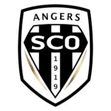 All france ligue 1 ream league kits has been updated here on our blog. French Ligue 1 Football Logos