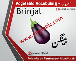 Brinjal Vegetables Name List List Of Vegetables List Of Veggies Vocabulary Words