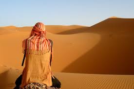 Try out your sandboarding skills and surf the sand. Morning Desert Safari Dubai Desert Safari Deals Desert Thrill