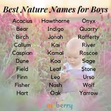 The name aarav means wisdom. it also means one who is peaceful. 6. 81 Boy Names Ideas In 2021 Boy Names Names Baby Names