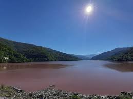 Dan pavaloiu, dan curean, radu puscas. Canicula Infloreste Apa Intr Un Lac Din Caras Severin Fenomen Rar Intalnit Din Cauza CÄldurilor Excesive Radio Romania ReÈiÈa