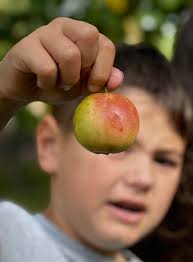 Family days. Tried & tested.