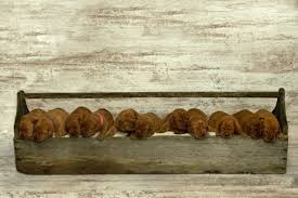 Maybe you would like to learn more about one of these? Fox Red Lab Puppies For Sale Balsam Branch Kennel One Week Old Litter Of Puppies Wisconsin Fox Red Lab Red Lab Puppies Red Lab