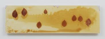 Wood and metal kitchen island paneling moderna news release. Haegue Yang Barbara Wien Gallery