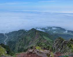 Image result for Malacca Blue 1989 Summit