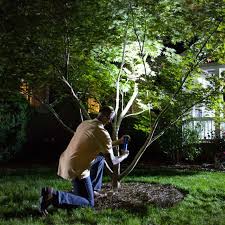 Here are 14 outdoor lighting trends for 2018. Install Landscape Lighting