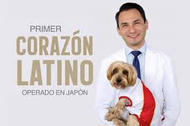 Los 143 principales empleos del día de veterinario en chile. Home Cuore Veterinarios Cardiologos En Lima Peru