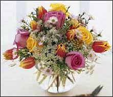 Flower shop in saint augustine, fl: About Us Flowers By Shirley Saint Augustine Fl