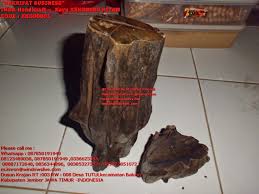 Setiap orang harus mempunyai kayu kemuning hitam dalam koleksi untuk kegunaan apabila perlu. Jual Beli Kayu Kemuning Hitam Murraya Paniculata Makrifatbusiness Kampung Wisata Craft Jember