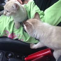 Maybe you would like to learn more about one of these? Pejabat Perkhidmatan Veterinar Daerah Kuala Kangsar 29 Visitors