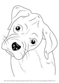 Learn How To Draw Boxer Puppy Face Farm Animals Step By Step Drawing Tutorials Dog Face Drawing Dog Drawing Tutorial Dog Drawing Simple