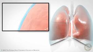 Pleural Space Hd Youtube