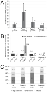 First of all, usability is important given the huge and growing number of machines. Genes Free Full Text The Importance Of Atm And Atr In Physcomitrella Patens Dna Damage Repair Development And Gene Targeting