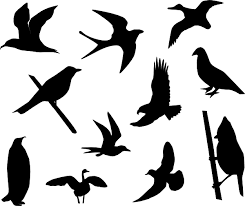 Pin By Dorthe Hojgard On Ink Flying Bird Silhouette Bird Silhouette Bird Silhouette Tattoos