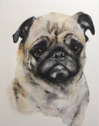 Primero, pídale que dibuje un perro husky. Pet Portrait By Watercolor Artist Jane Davies Watercolor Dog Pet Portraits Dog Paintings