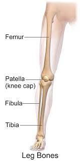 The symptoms of tendinopathy include pain, swelling and reduced function. Seeking Compensation For Car Accident Leg And Knee Injury Claims