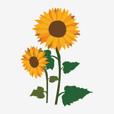 Jelajahi koleksi gambar png umum bunga matahari xcf desktop wallpaper kami yang luar biasa. Gambar Elemen Bunga Matahari Clipart Bunga Matahari Bunga Matahari Krisan Png Dan Vektor Dengan Latar Belakang Transparan Untuk Unduh Gratis