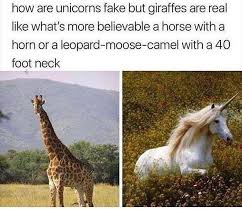 Some of us have to roll and tuck ours in and it leaves a big bulge. Leopard Moose Camel Properanimalnames
