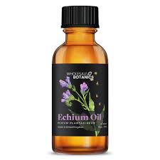 Image result for Echium