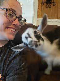 Hello, just wondering if cottage cheeze exists. Not that I like the stuff...