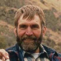 David A. Morgan Obituary (2024)