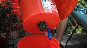 Maybe you would like to learn more about one of these? Build Your Own Self Watering Bucket Container Learn Grow Educational Series