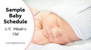 Newborn Schedule Sample 2 5 Week Old Baby Sleep Routine