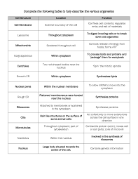 animal cell parts and functions chart