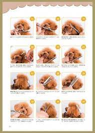 7 Dog Grooming Tips To Keep Your Dog Looking Great Dog Grooming Tips Best Dog Grooming Ti Dog Grooming Styles Goldendoodle Grooming Poodle Grooming