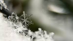 Probabilitea pentru precipitaţii, în general moderate cantitativ, va fi ridicată şi între 4 şi 10 ianuarie. Prognoza Meteo In Intervalul 07 Decembrie 2020 04 Ianuarie 2021 Cum Va Fi Vremea De CrÄƒciun È™i De Revelion B1tv Ro