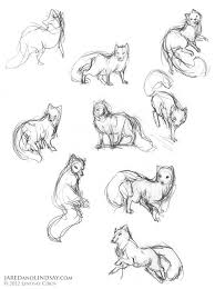 The software comes with a male and female model, a few basic clothing items and a pose pack to get you started. The Last Of The Polar Bears How To Draw An Arctic Fox Fox Sketch Animal Drawings Fox Drawing