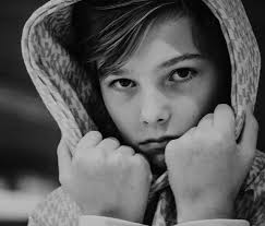 Der besondere Christbaumwald