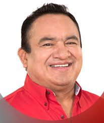 Gobiernos priistas, Comité Estatal, Municipios, Diputados, Senadores